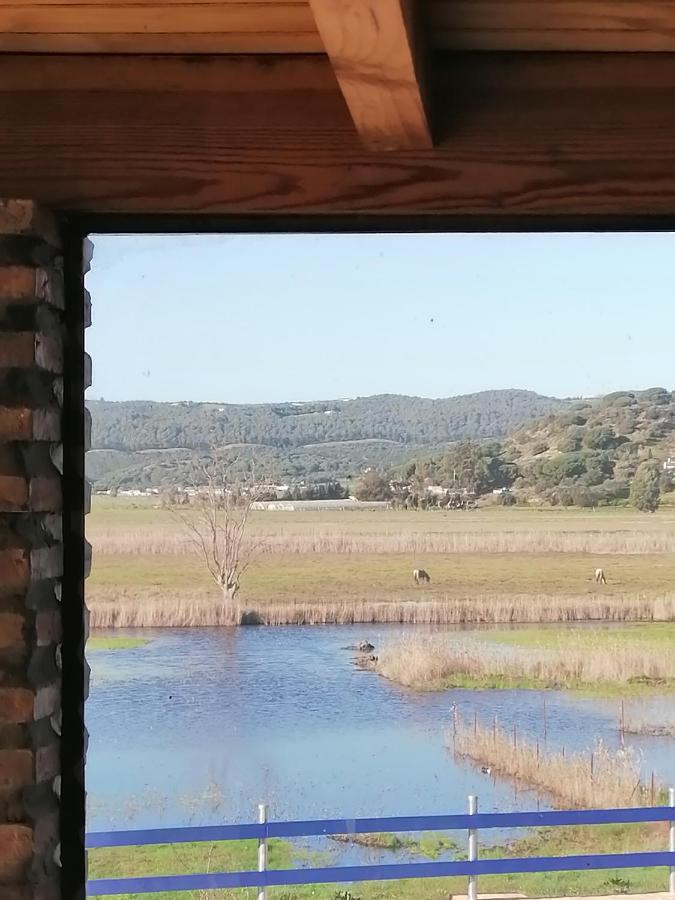 Casa Los Ibis Villa Vejer de la Frontera Luaran gambar